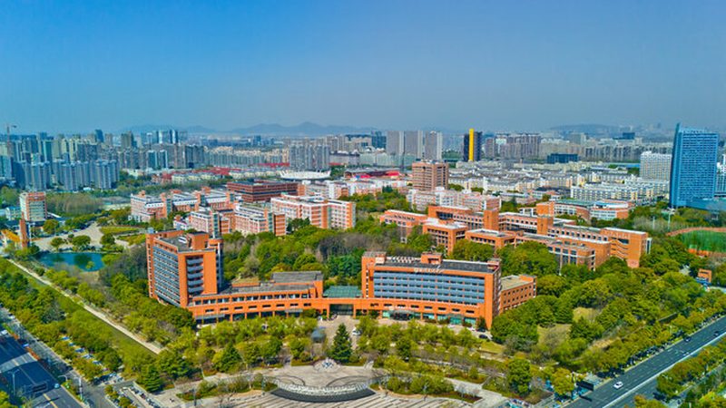 二极管正负极识别：实用技巧与误区解析**