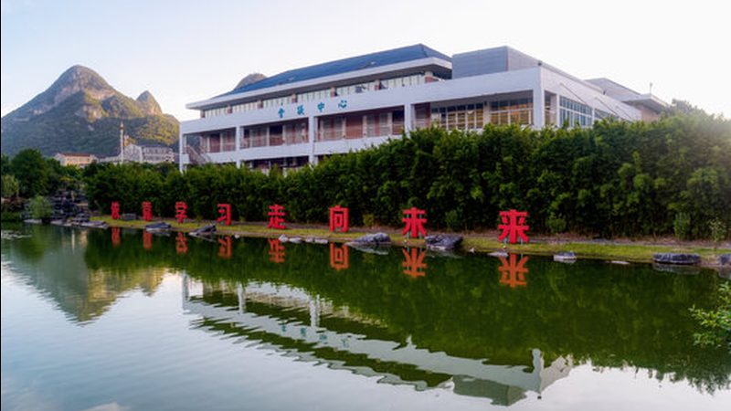 二极管品牌，揭秘行业佼佼者背后的技术实力