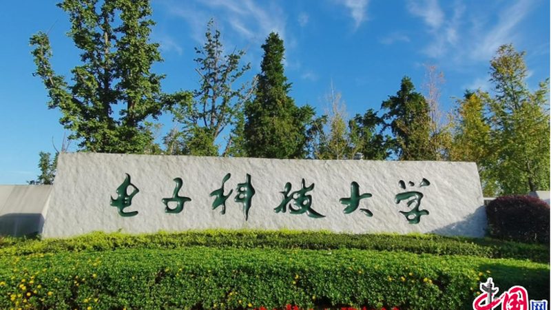 广州电子模块公司报价对比：揭秘如何选对性价比之选**