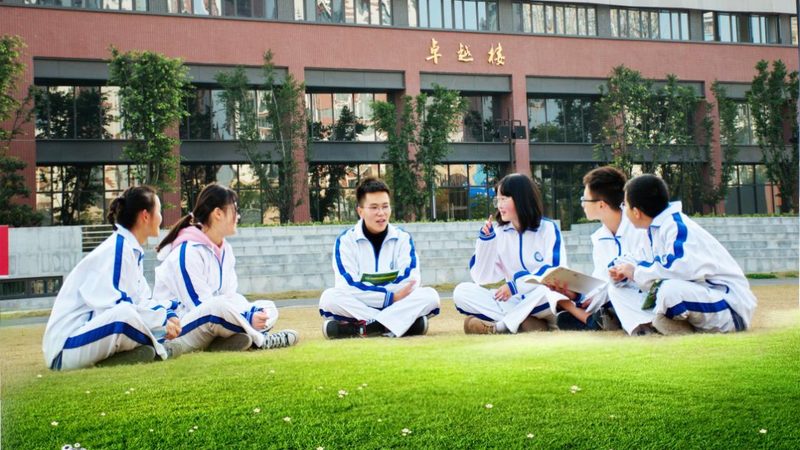 连接器端子价格之谜：揭秘其背后的成本构成**